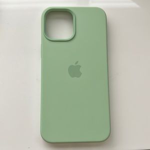 Apple iPhone 12 Pro Max Case in Pistachio